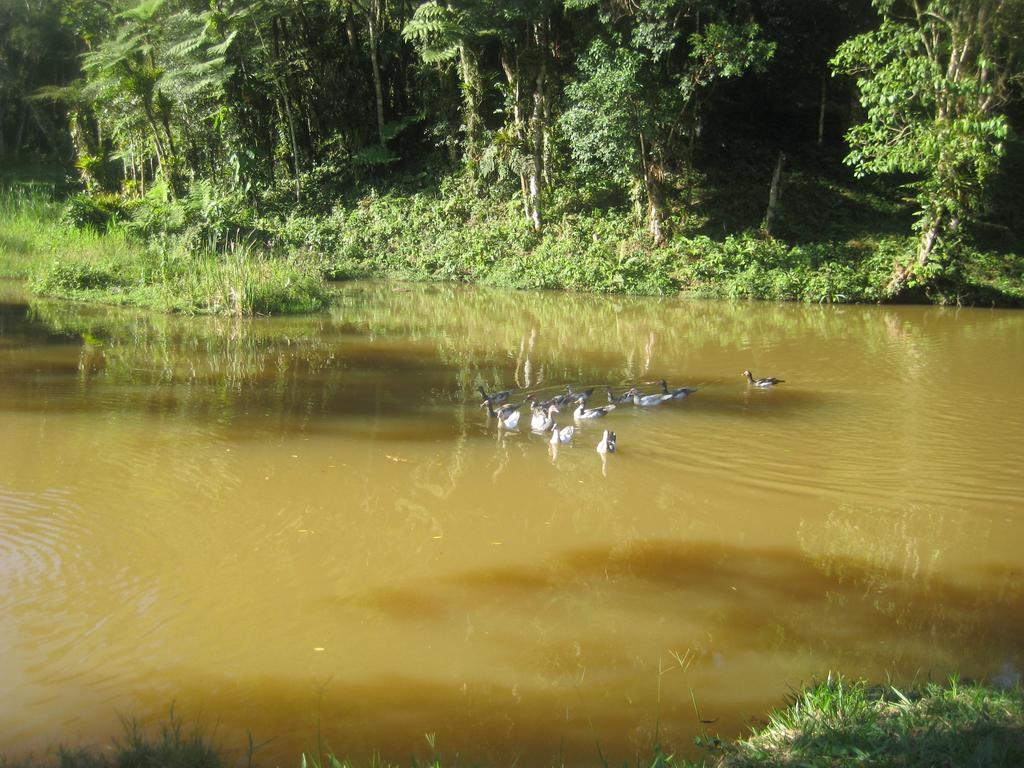 Pousada Recanto Dos Pinheiros Pilar do Sul ภายนอก รูปภาพ