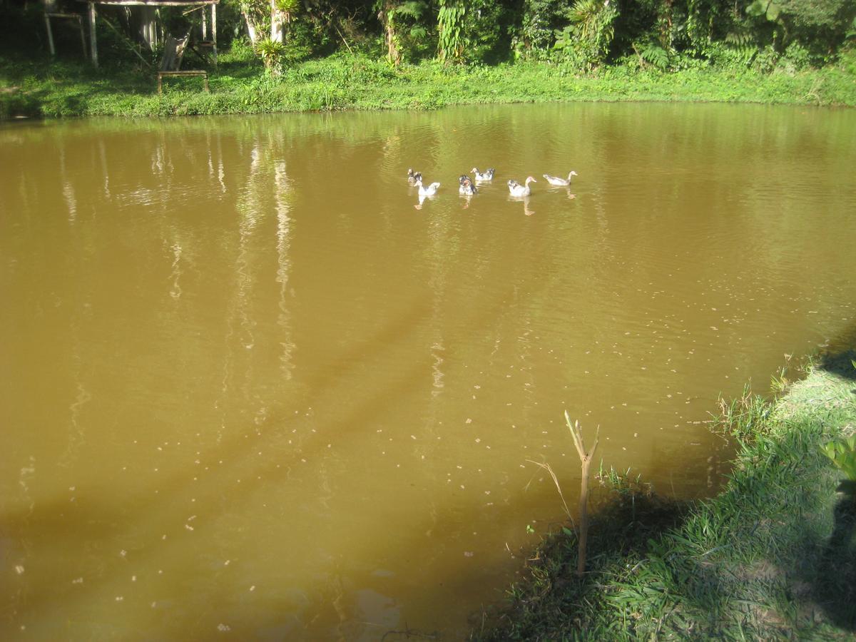 Pousada Recanto Dos Pinheiros Pilar do Sul ภายนอก รูปภาพ