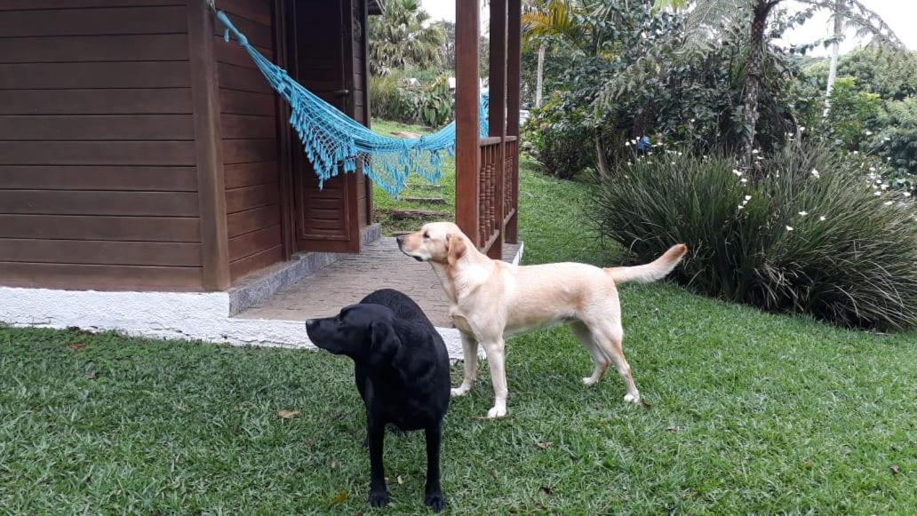 Pousada Recanto Dos Pinheiros Pilar do Sul ภายนอก รูปภาพ